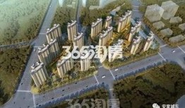 城东某楼盘爆料视频,揭秘某热门楼盘背后的真相与亮点
