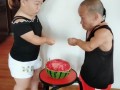 夫妻网红吃瓜图片,揭秘娱乐圈幕后真相