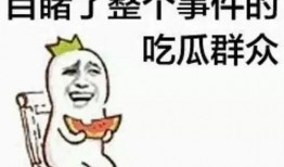 吃瓜群众30集完整版免费观看,揭秘娱乐圈幕后真相，免费观看大揭秘
