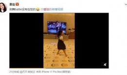 最新豪华版爆料视频大全,揭秘最新高端科技与设计亮点