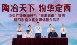 定西新闻头条大爆料,独家大爆料，揭秘背后真相！