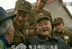 傻儿司令八哥爆料视频大全,揭秘幕后真相与趣味瞬间