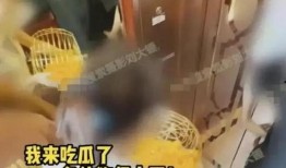 张小寒爆料了吗视频全集,事件真相与幕后故事