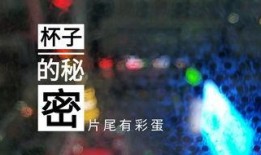山东饭店爆料视频播放网站,揭秘幕后真相，引发网友热议