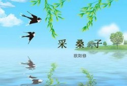 天涯爆料燕子最新一期,燕子最新一期揭秘惊人内幕