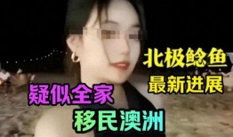 北极鲶鱼 爆料视频,网络爆料视频引发的舆论风暴