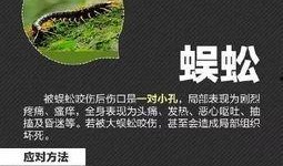 昆虫五周年爆料视频大全,回顾经典瞬间，展望未来辉煌