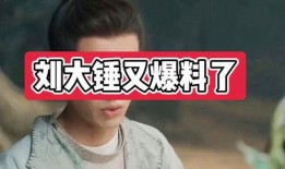 刘大锤爆料情侣是谁啊视频,视频曝光的神秘情侣身份大猜想