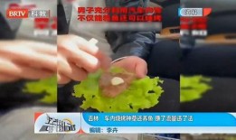 养鱼爆料视频,视频爆料背后的养鱼秘诀