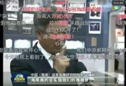海安网友爆料新闻视频播放,海安新闻视频引发热议，详情曝光！