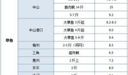 广西砂石场爆料视频大全,揭露行业乱象与环保挑战