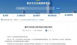 重庆都市新闻爆料网站官网,揭秘官网最新爆料，热点事件一网打尽