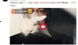 卓伟最新爆料白百合视频,揭秘娱乐圈夫妻婚姻危机