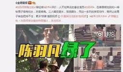 新闻爆料何亨健视频,揭秘企业巨头背后的故事
