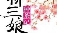 茶叶记在线观看,探寻千年茶文化的魅力之旅