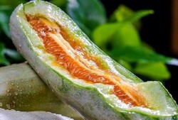 吃瓜 网红,网红现象背后的社会现象解析