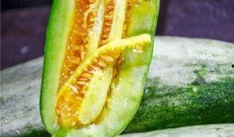 吃瓜 网红,网红现象背后的社会现象解析