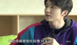 张新成的最新爆料,幕后故事与心路历程