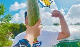 吃瓜 网红,网红现象背后的社会现象解析