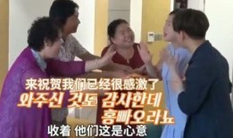 爆料陈华父母视频播放全集,揭秘家庭生活细节与育儿经