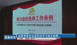嘉善新闻爆料投稿,揭秘当地热点事件背后的真相