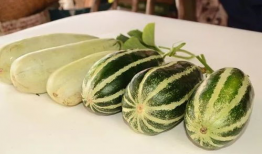 免费网红吃瓜群,揭秘娱乐圈幕后真相