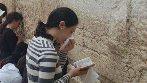 娱乐吃瓜君变形记,揭秘明星幕后生活